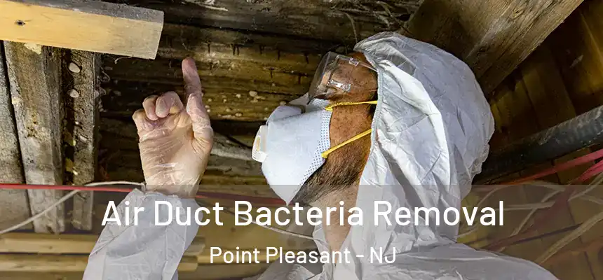 Air Duct Bacteria Removal Point Pleasant - NJ