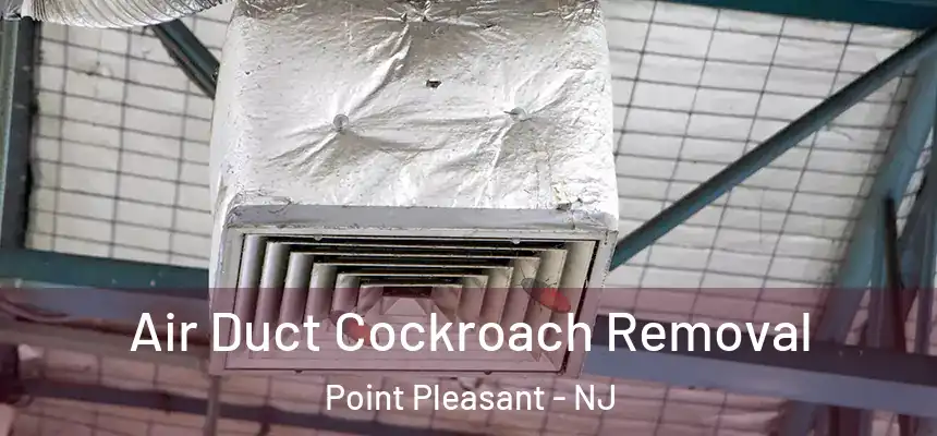 Air Duct Cockroach Removal Point Pleasant - NJ