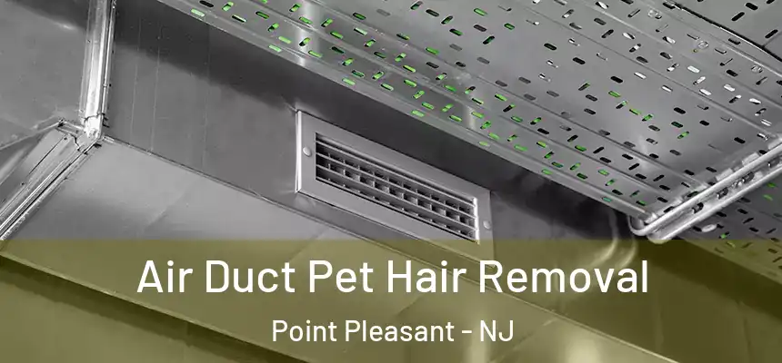 Air Duct Pet Hair Removal Point Pleasant - NJ