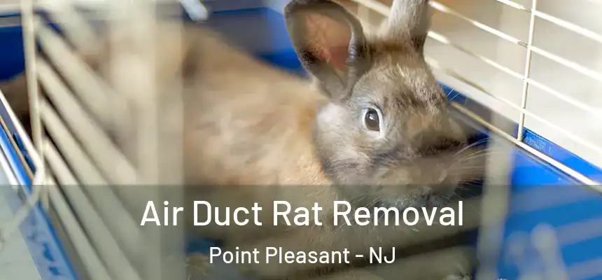  Air Duct Rat Removal Point Pleasant - NJ