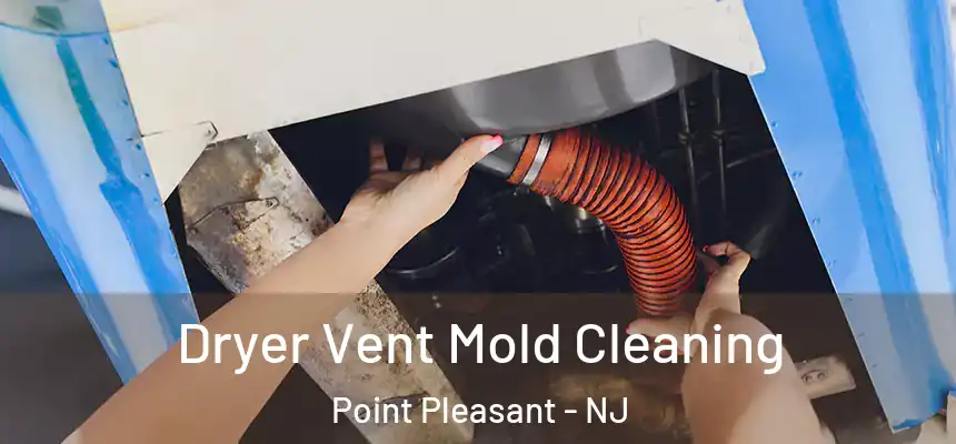  Dryer Vent Mold Cleaning Point Pleasant - NJ