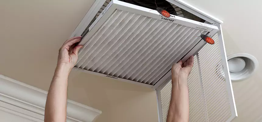 Preventive Cockroach-Proofing for Ducts in Point Pleasant