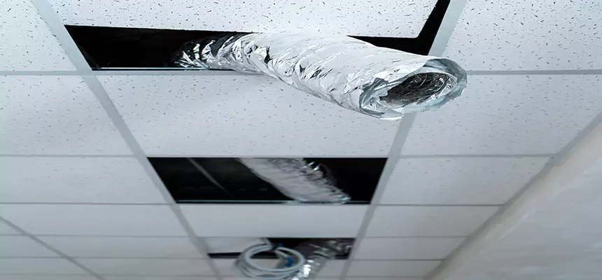 Affordable HVAC Sanitizing After Pest Removal in Point Pleasant