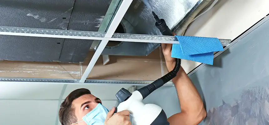 Our Air Duct Rodent Removal Services in Point Pleasant, NJ