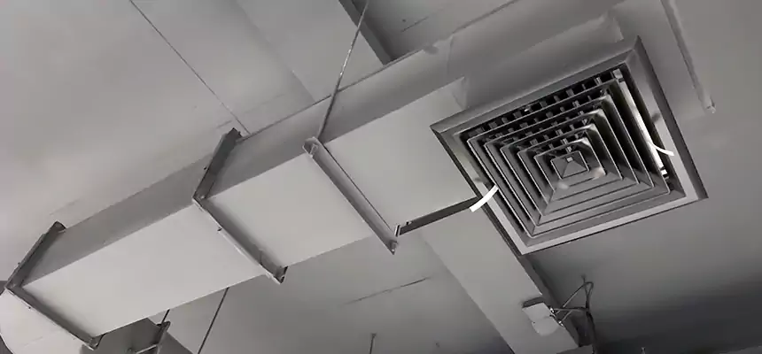 Our Pest Removal From Ducts Services in Point Pleasant, NJ