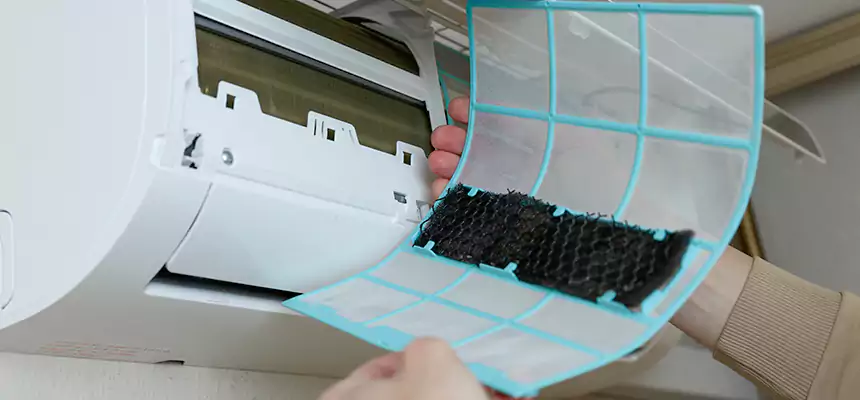 Gentle Ductwork Odor-Control Pet Dander Duct Cleaning in Point Pleasant, NJ