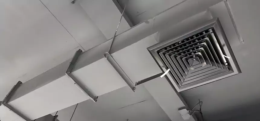 Our Rodent Droppings In Vents Services in Point Pleasant, NJ