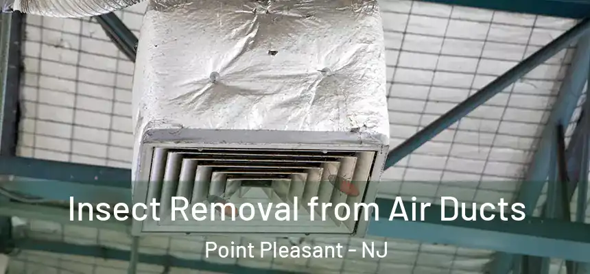 Insect Removal from Air Ducts Point Pleasant - NJ