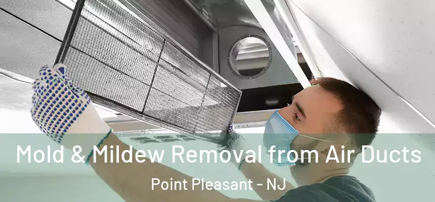 Mold & Mildew Removal from Air Ducts Point Pleasant - NJ