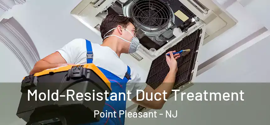 Mold-Resistant Duct Treatment Point Pleasant - NJ