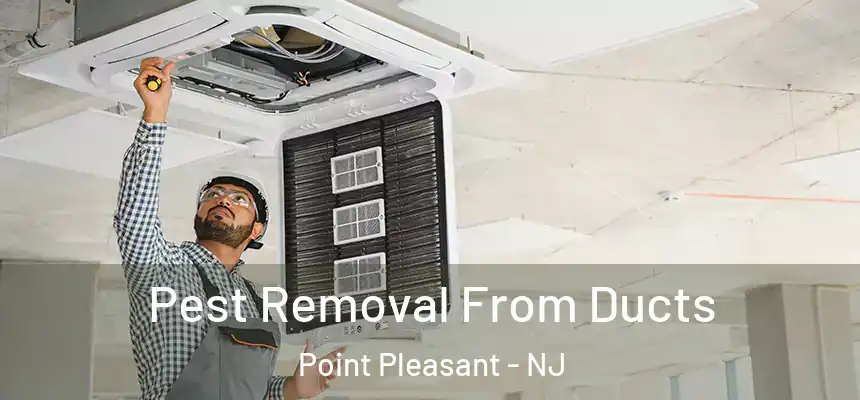 Pest Removal From Ducts Point Pleasant - NJ