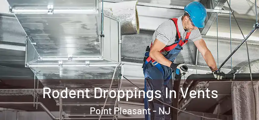 Rodent Droppings In Vents Point Pleasant - NJ
