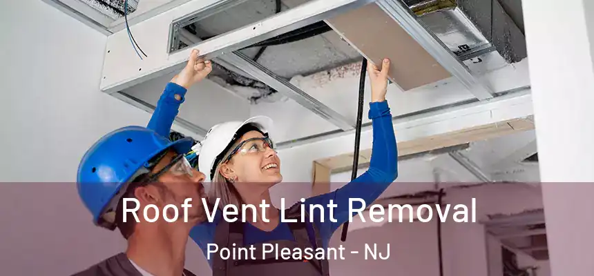 Roof Vent Lint Removal Point Pleasant - NJ