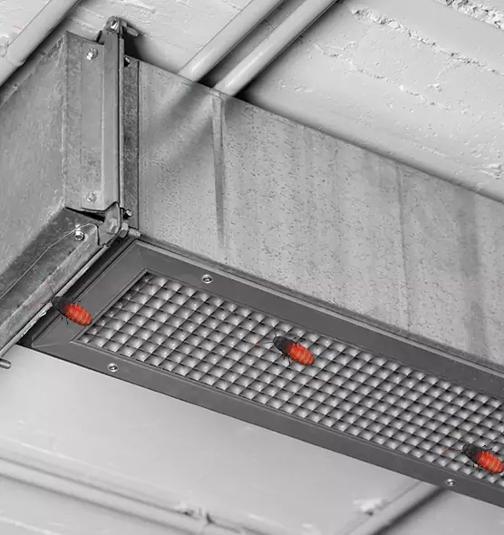About Air Duct Cockroach Removal in Point Pleasant, NJ
