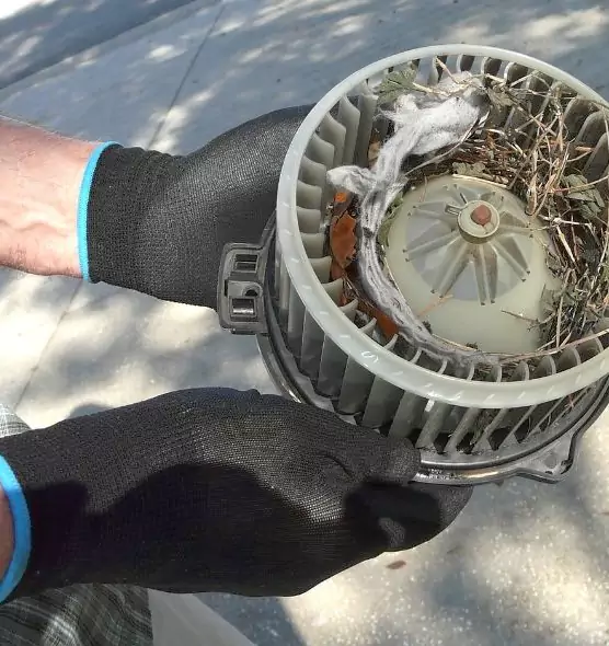 About Air Duct Mice Removal in Point Pleasant, NJ