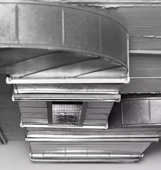 Professional Air Duct Pest Removal in Point Pleasant, NJ