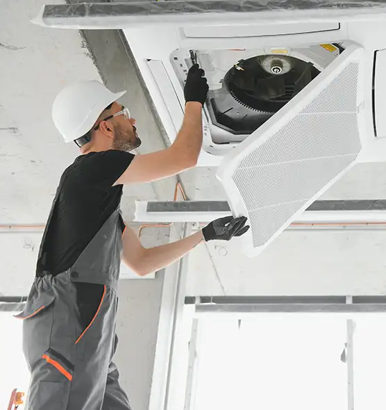 About Air Duct Rodent Removal in Point Pleasant, NJ