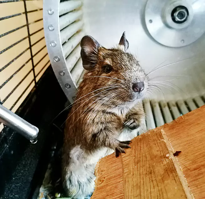 Why Homeowners & Businesses Trust Us Point Pleasant, NJ