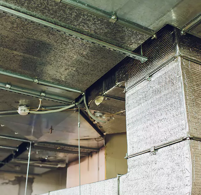 Why Homeowners & Businesses Trust Us in Point Pleasant, NJ?